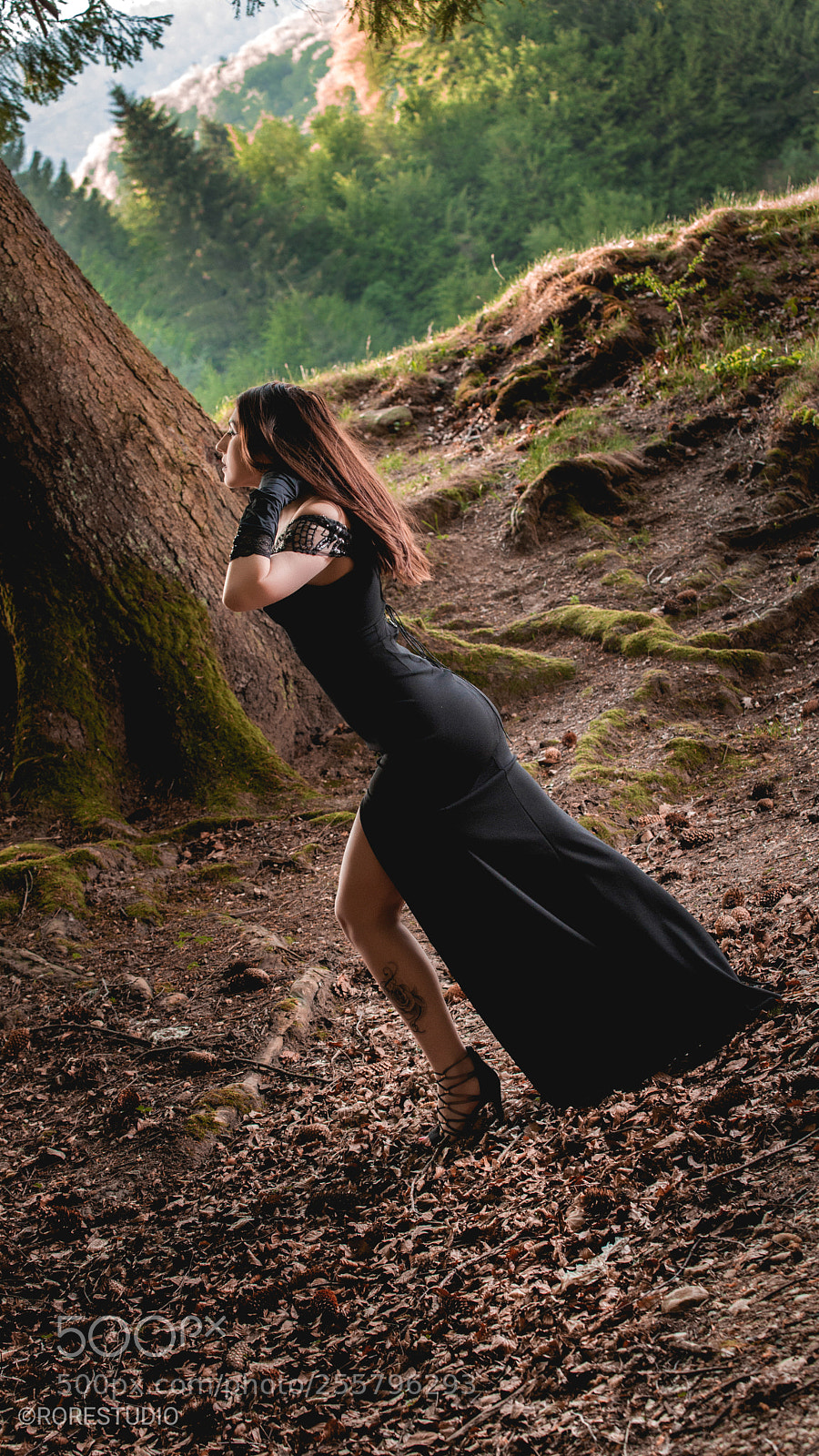 Canon EOS 5D Mark II sample photo. I put a spell photography