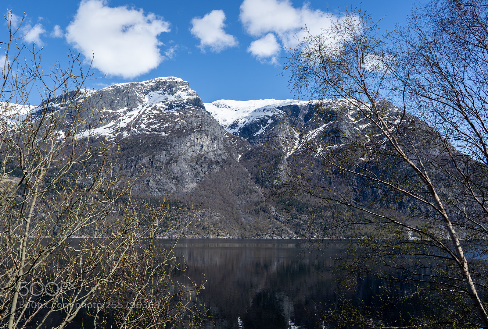 Sony a7 III sample photo. Postcard of the day photography