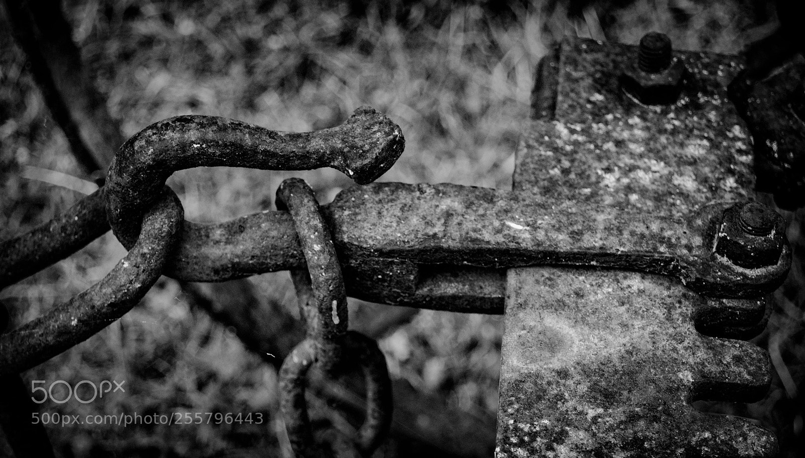 Nikon D3100 sample photo. Hooked photography