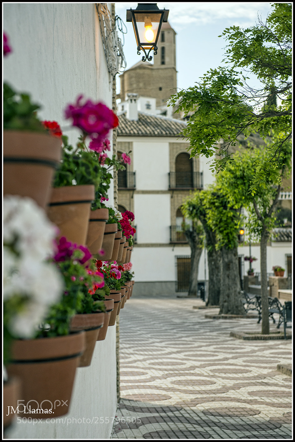 Nikon D610 sample photo. Macetaspaseo photography