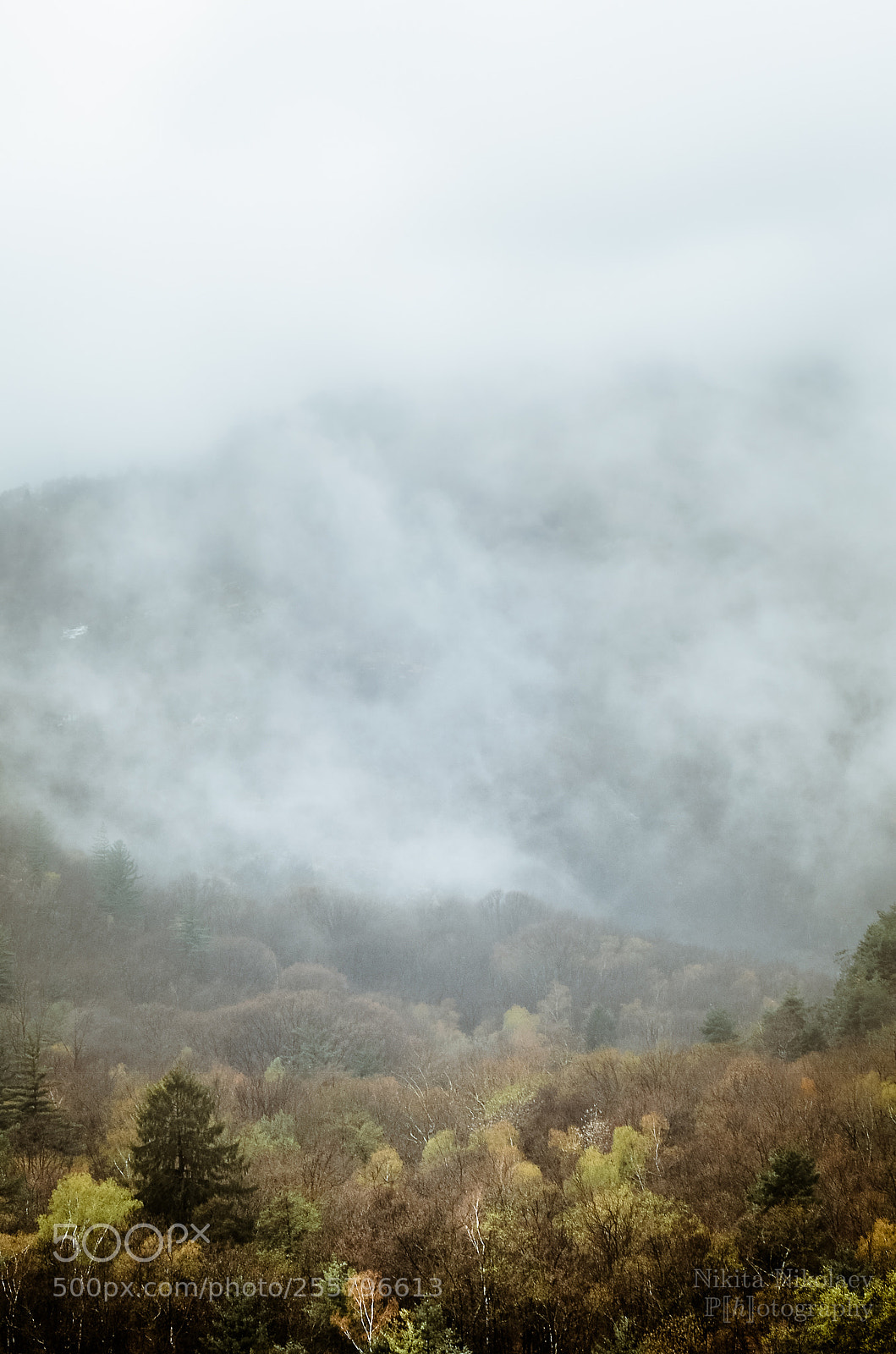 Nikon D7000 sample photo. Clouds over a forest photography