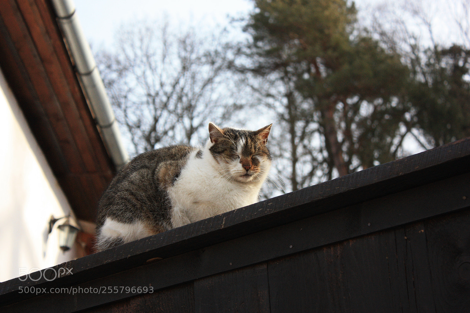 Canon EF-S 18-55mm F3.5-5.6 IS sample photo. 11.jpg photography