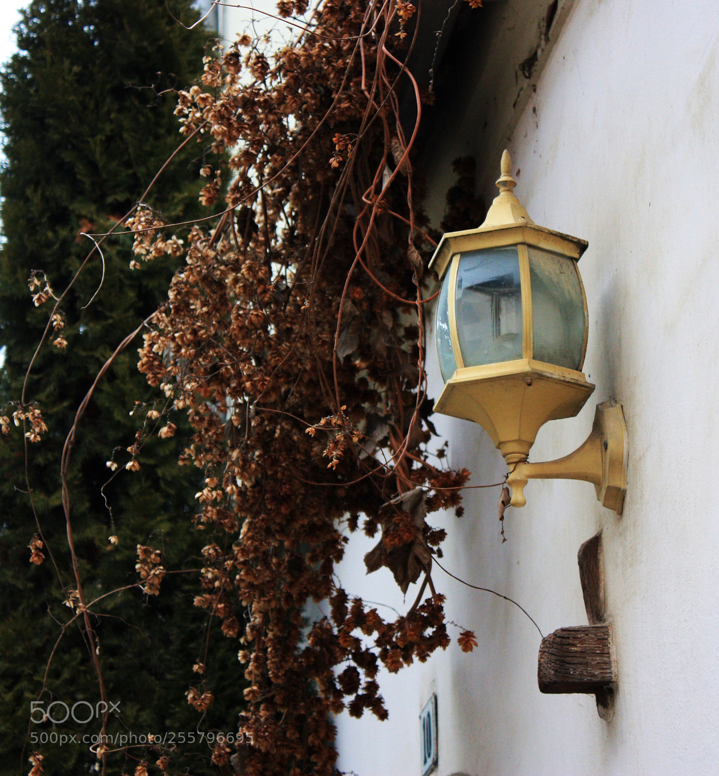 Canon EF-S 18-55mm F3.5-5.6 IS sample photo. 18.jpg photography