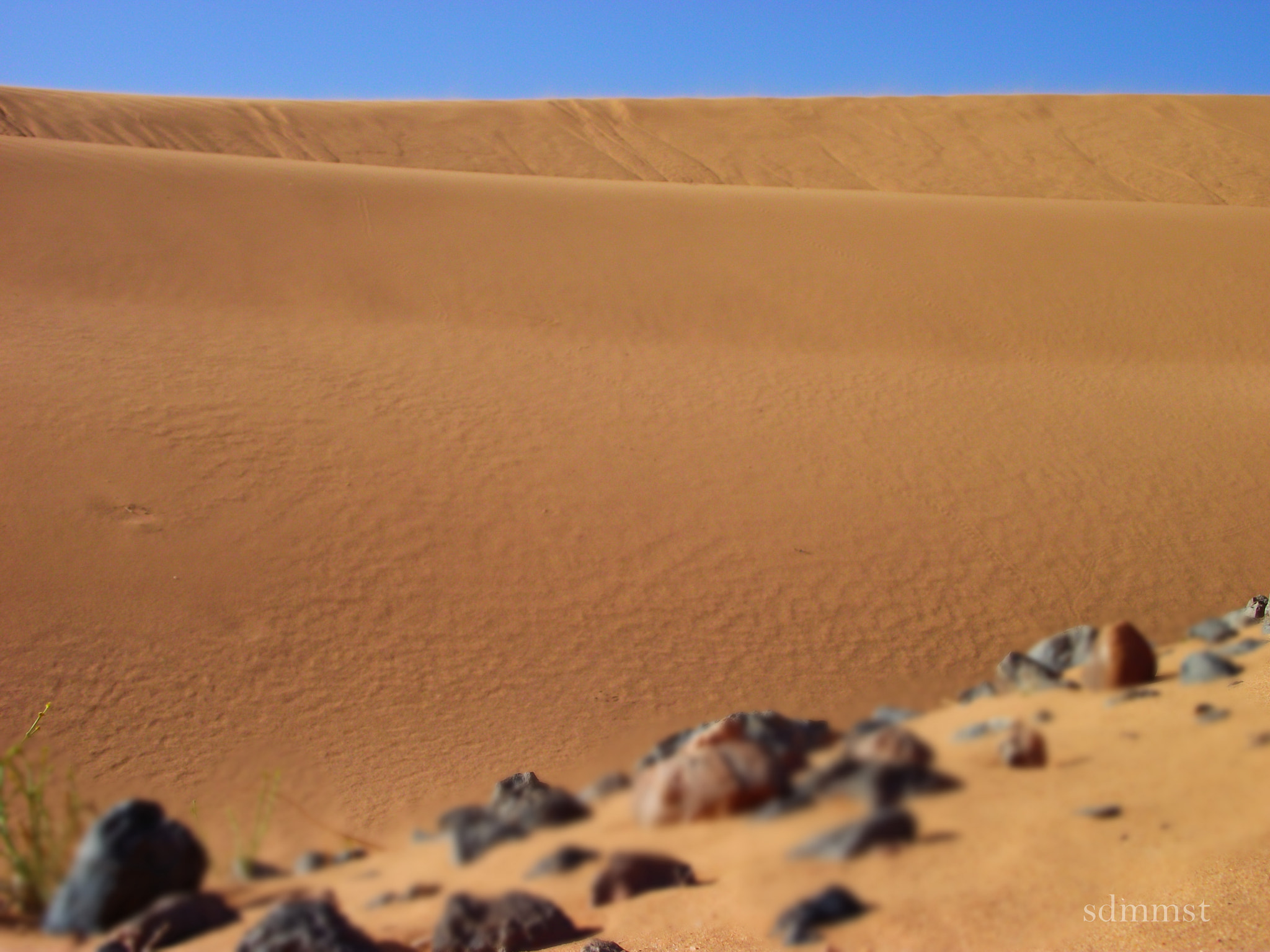FujiFilm FinePix S1600 (FinePix S1770) sample photo. Algeria desert photography