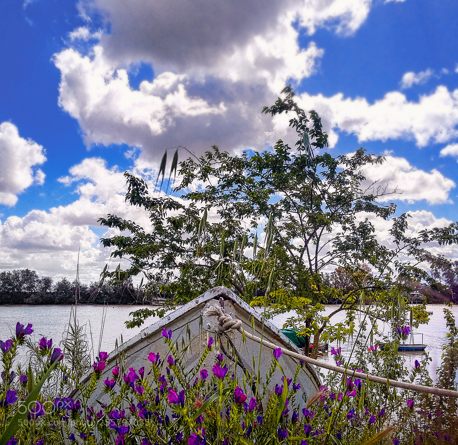 Samsung Galaxy Grand Prime sample photo. Guadalquivir photography