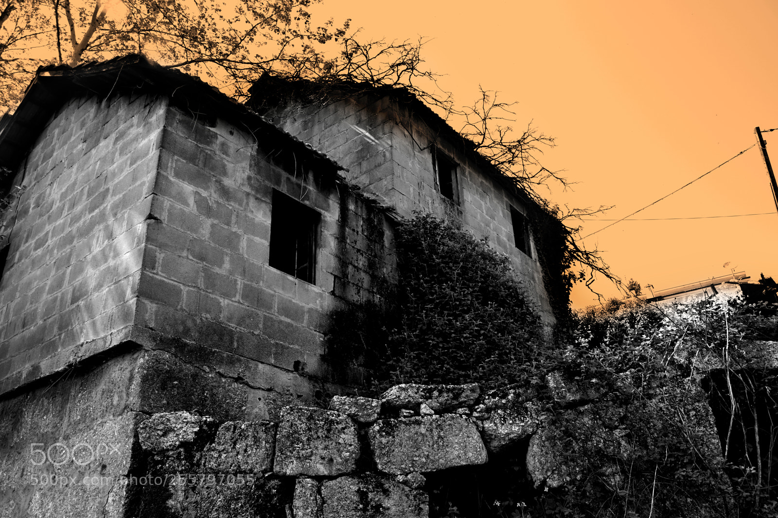 Nikon D5500 sample photo. Casa abandonada photography