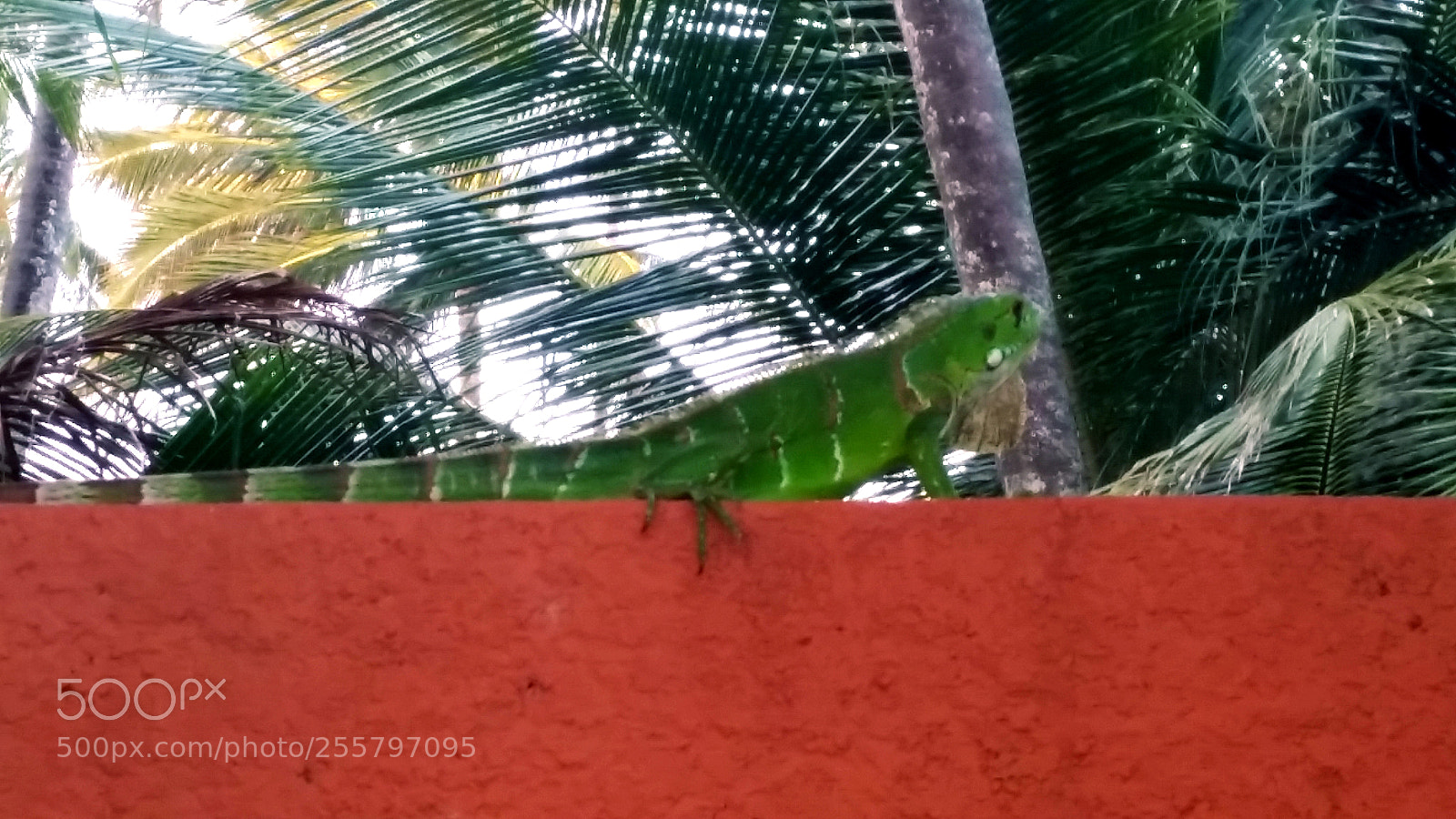 Samsung Galaxy S5 sample photo. Untitled photography