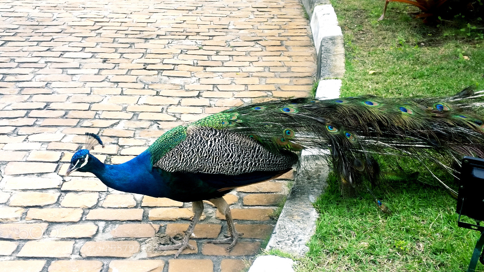 Samsung Galaxy S5 sample photo. Untitled photography