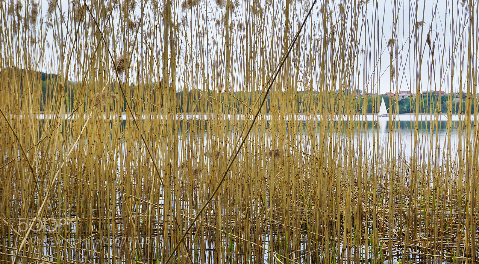 Sony a6000 sample photo. Kortowo lake photography