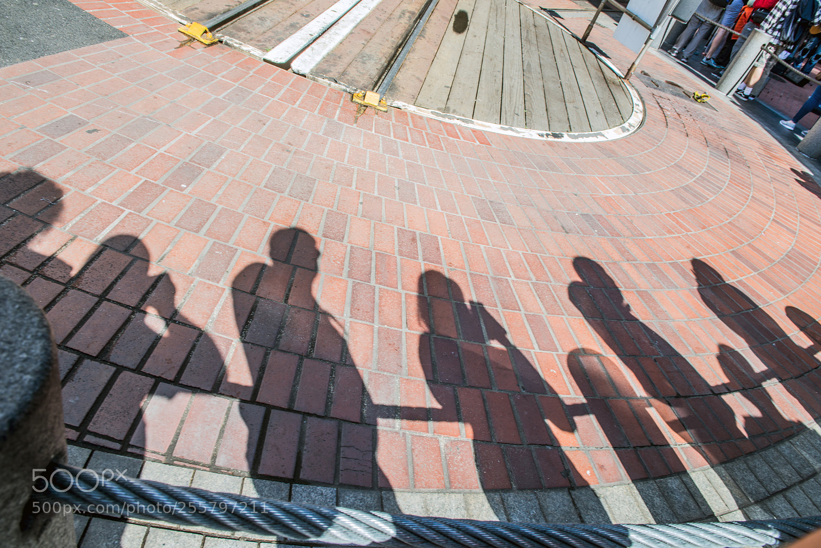 Nikon D610 sample photo. Shadow photography