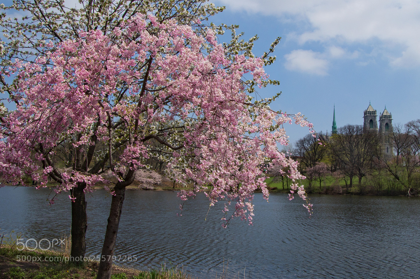 Canon EOS 700D (EOS Rebel T5i / EOS Kiss X7i) sample photo. Branch brook park lake photography