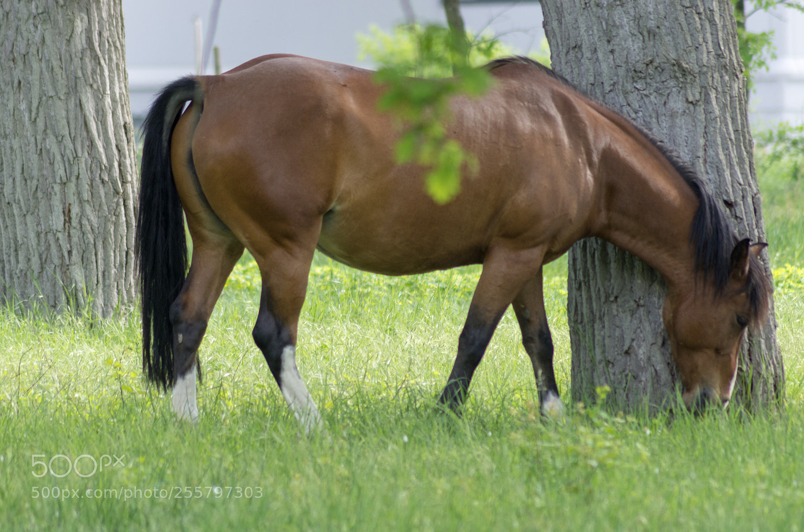 Pentax K-5 sample photo. Untitled photography