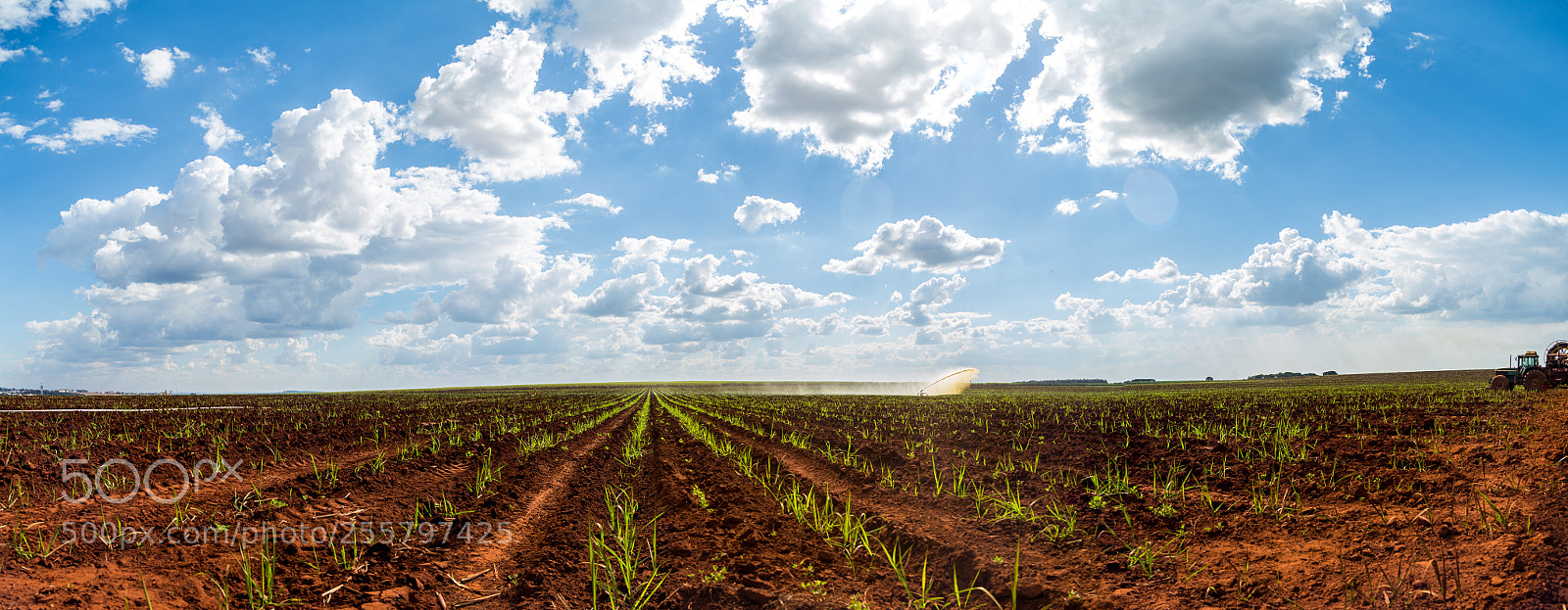 Canon EOS 6D sample photo. Sugar cane sunset plantation photography