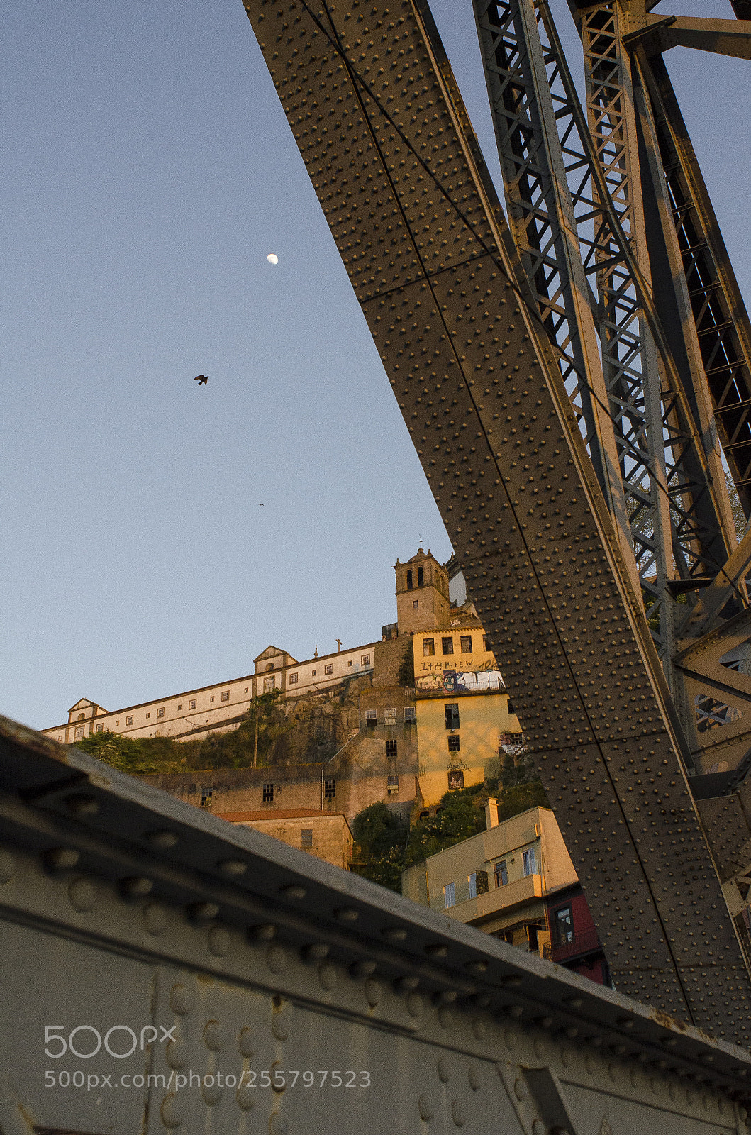 Nikon D7000 sample photo. Movement photography