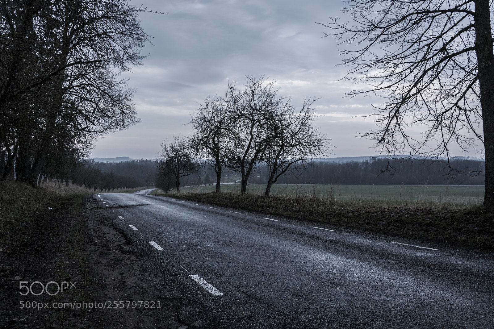 Nikon D7100 sample photo. Another rainy day photography