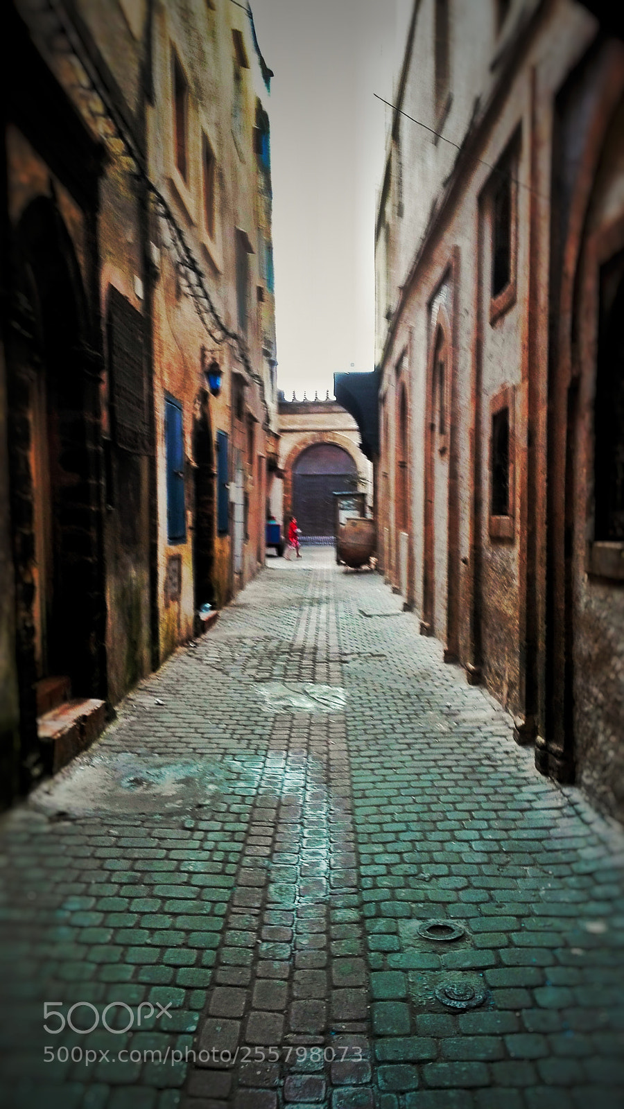 HUAWEI P8 Lite sample photo. Untitled photography