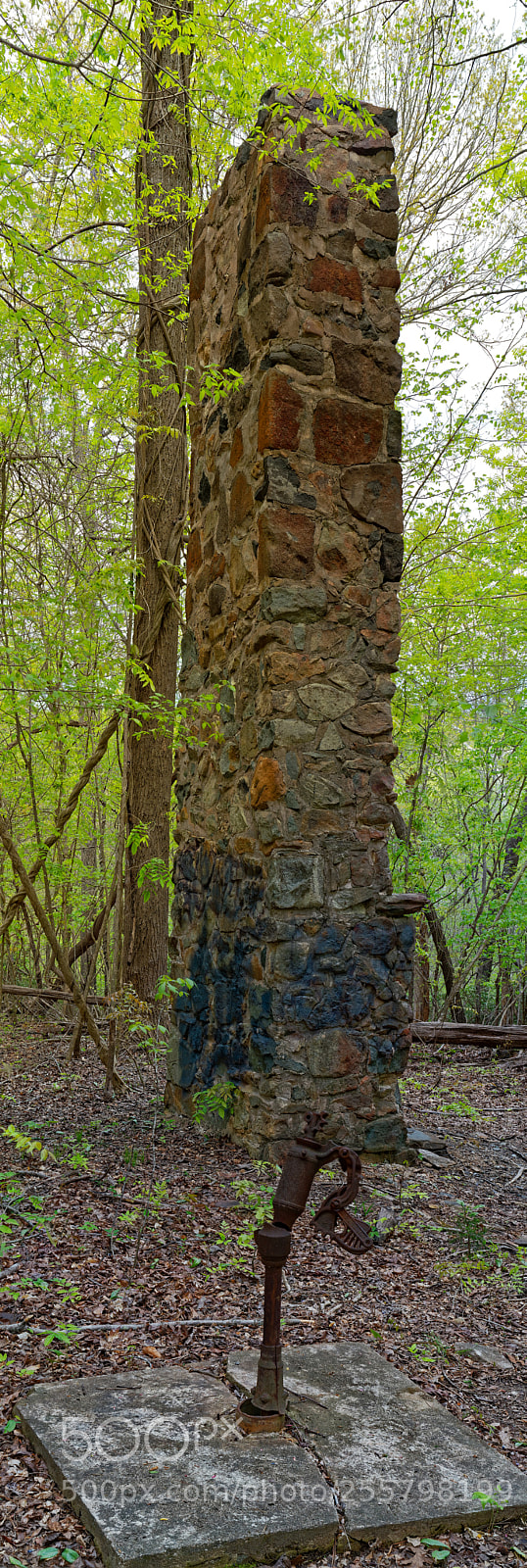 Sony a7R III sample photo. Enoriverparklaurelbluffstraildurhamnc pano photography