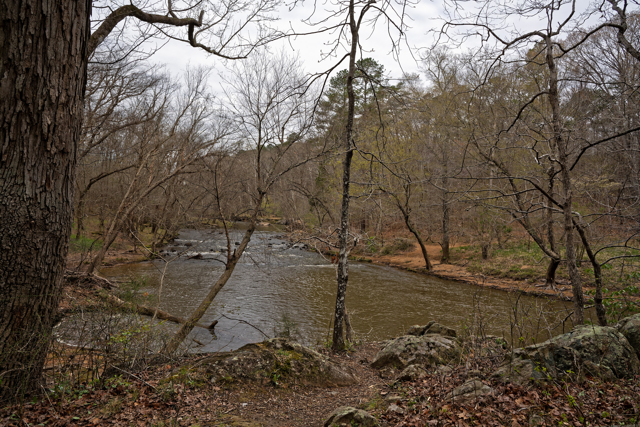 Sony a7R III + ZEISS Batis 25mm F2 sample photo. Enoriverparklaurelridgetraildurhamnc dxo photography