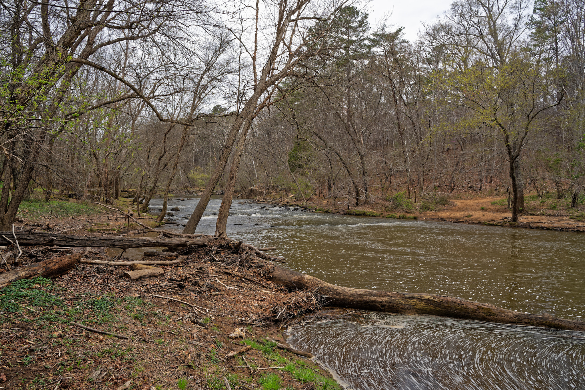 Sony a7R III + ZEISS Batis 25mm F2 sample photo. Enoriverparklaurelridgetraildurhamnc dxo photography