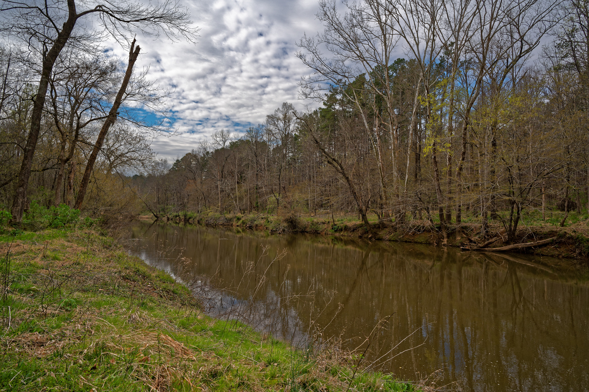 ZEISS Batis 25mm F2 sample photo. Enoriverparklaurelridgetraildurhamnc dxo photography