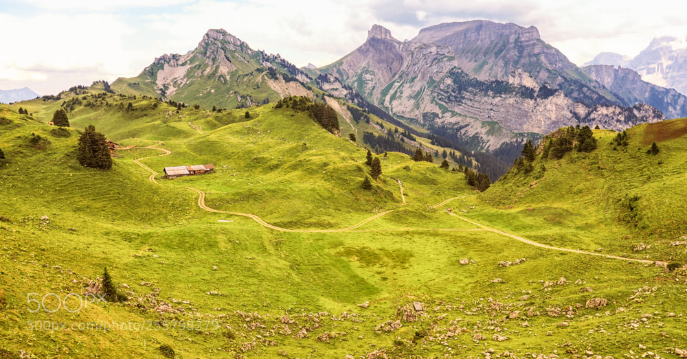 Olympus OM-D E-M5 II sample photo. Near schynigg platte, switzerland photography