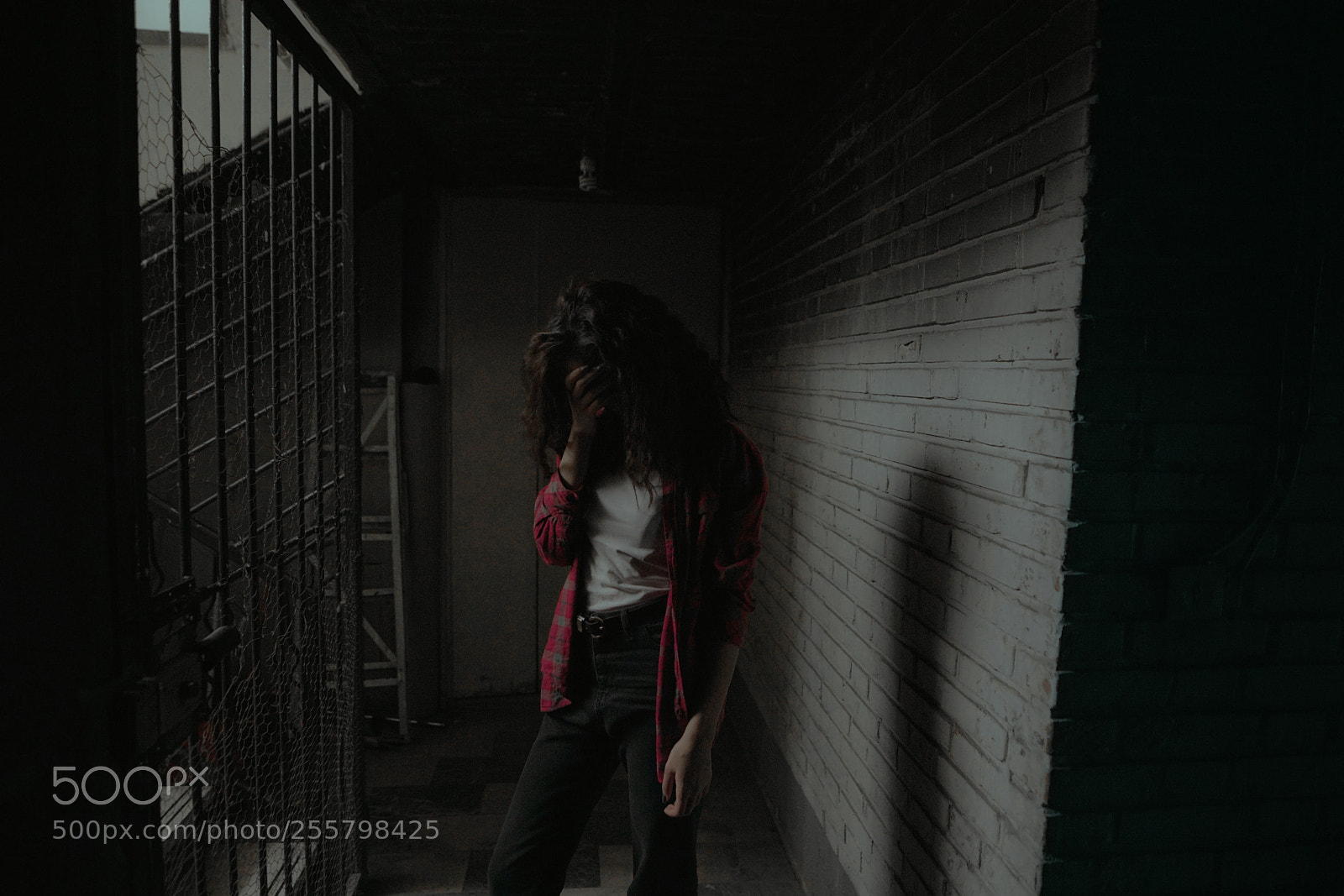 Sony a7R II sample photo. Senstive floor ! photography
