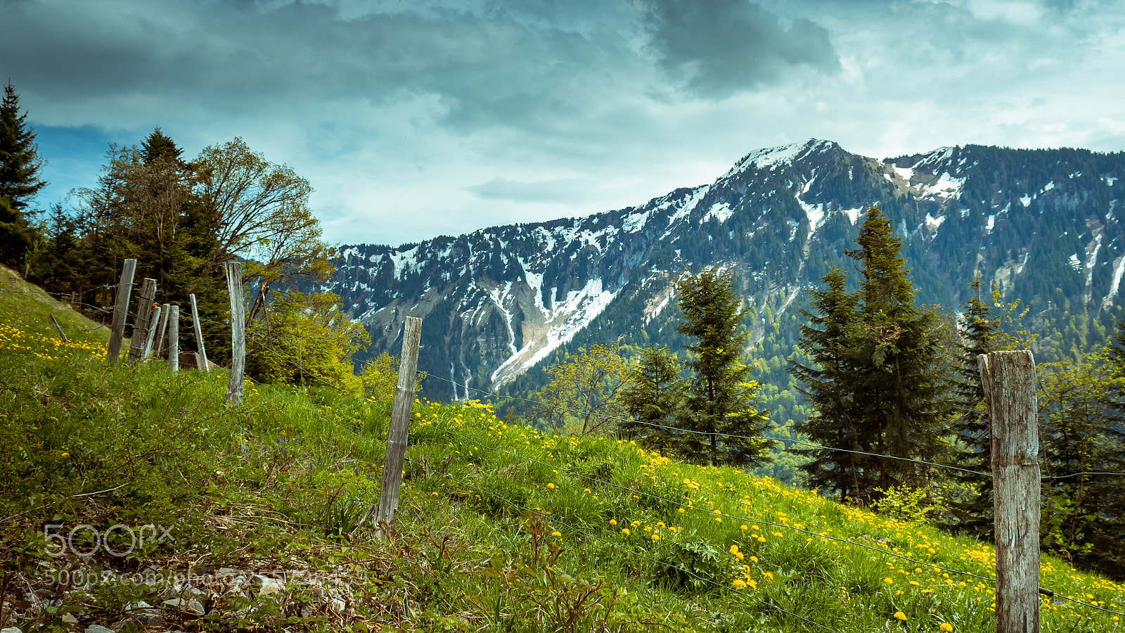 Canon EOS 1300D (EOS Rebel T6 / EOS Kiss X80) sample photo. Swiss alps photography