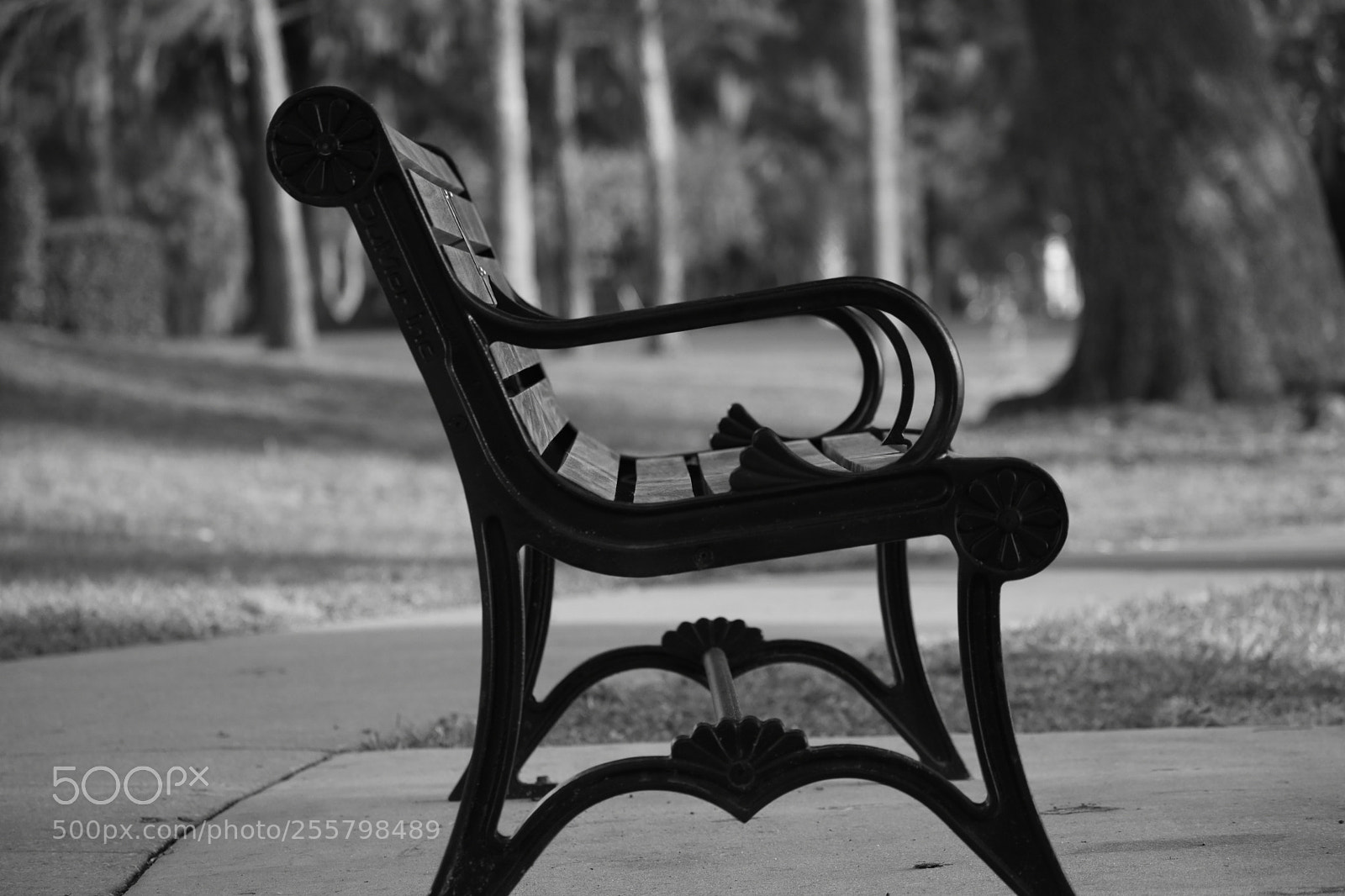 Nikon D3400 sample photo. Park it photography