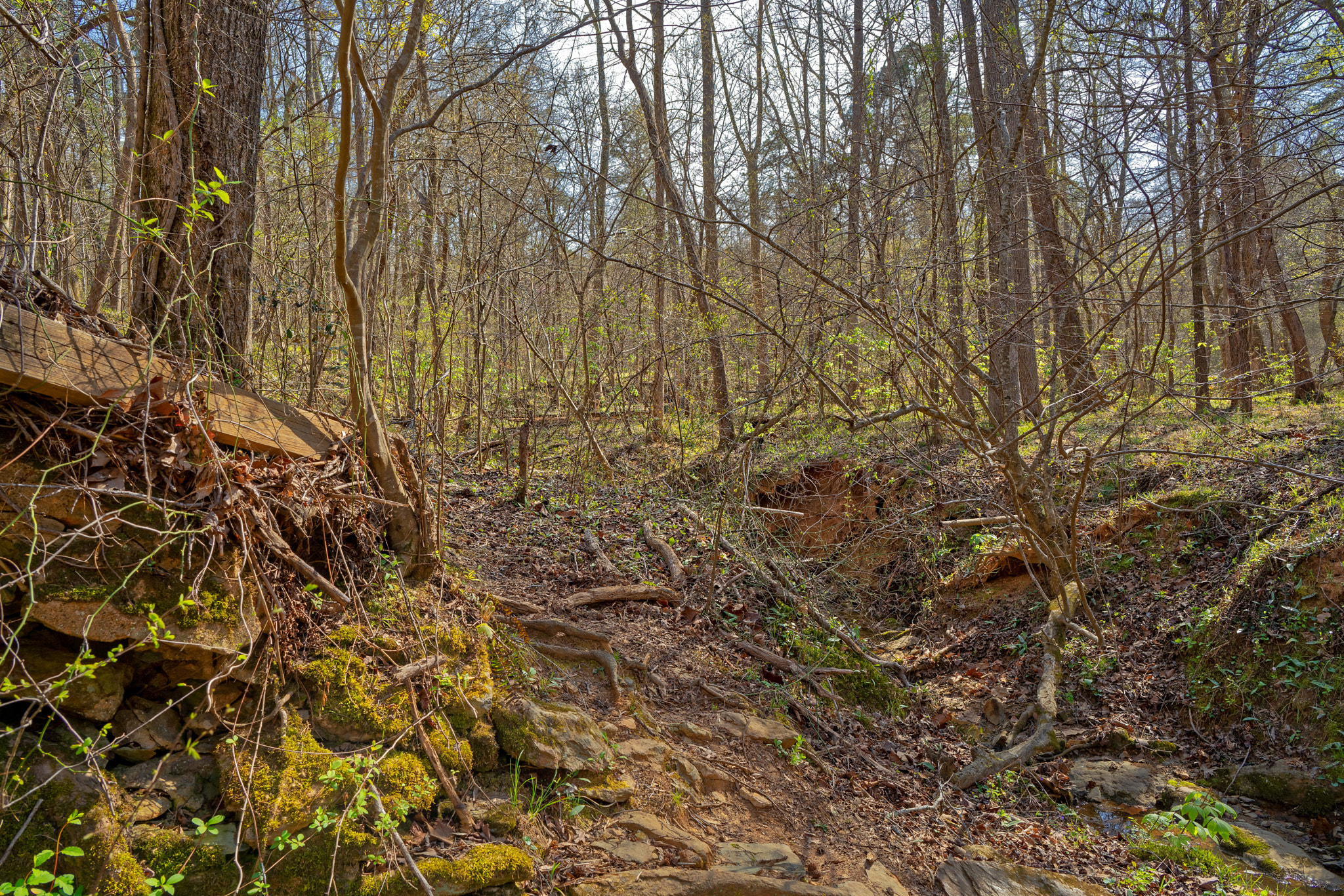 ZEISS Batis 25mm F2 sample photo. Enoriverparkpumpstationtraildurhamnc photography