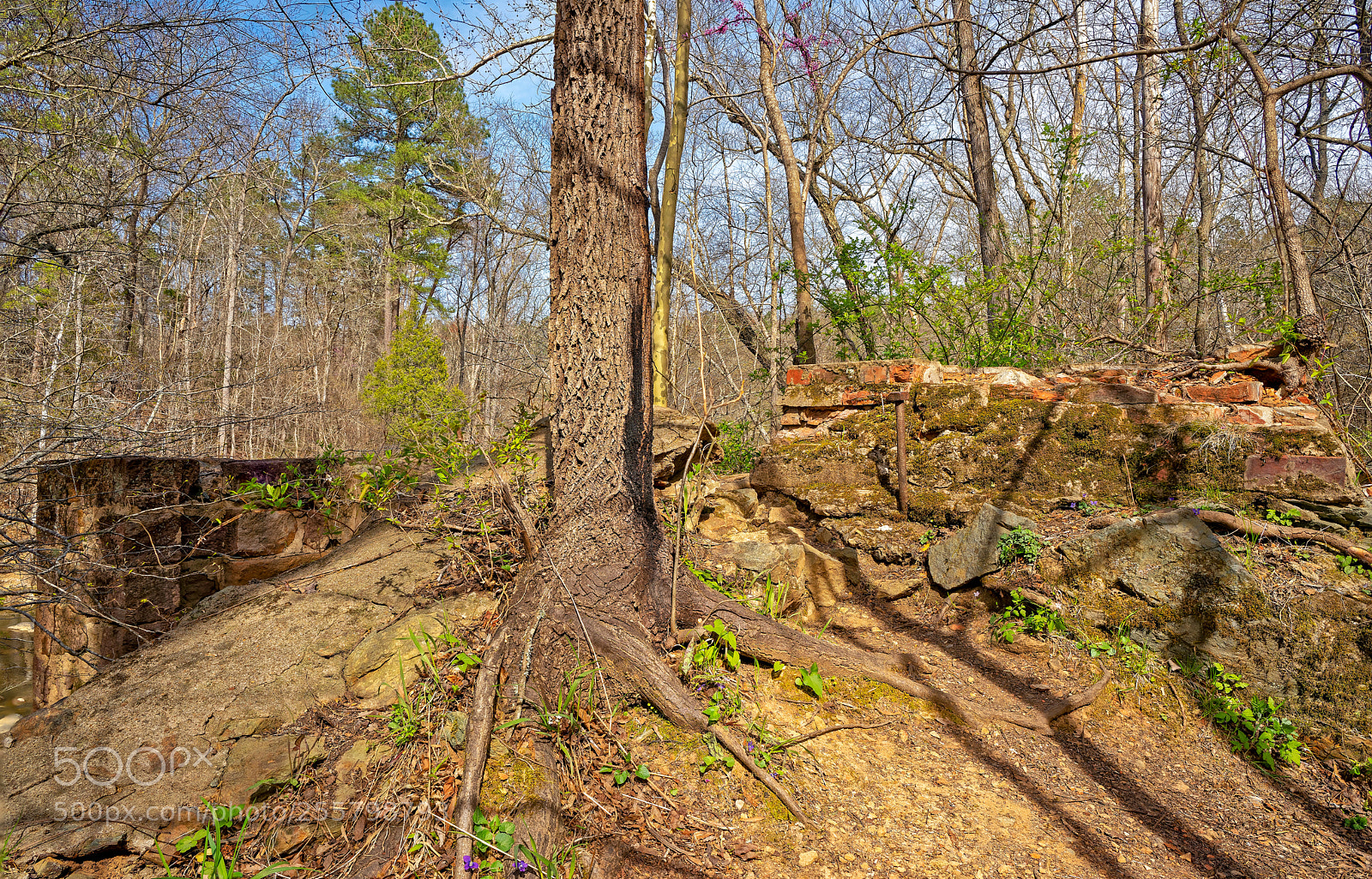 Sony a7R III sample photo. Enoriverparkpumpstationtraildurhamnc photography