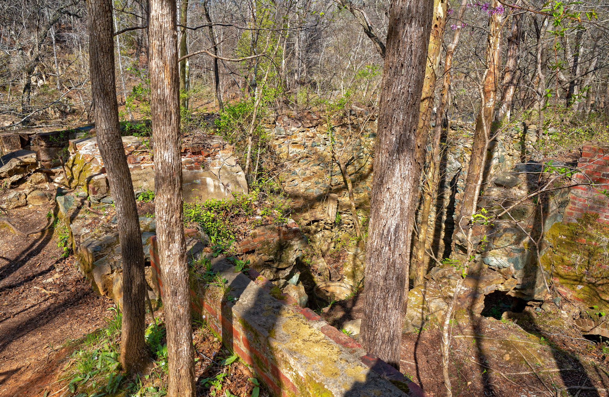 ZEISS Batis 25mm F2 sample photo. Enoriverparkpumpstationtraildurhamnc photography