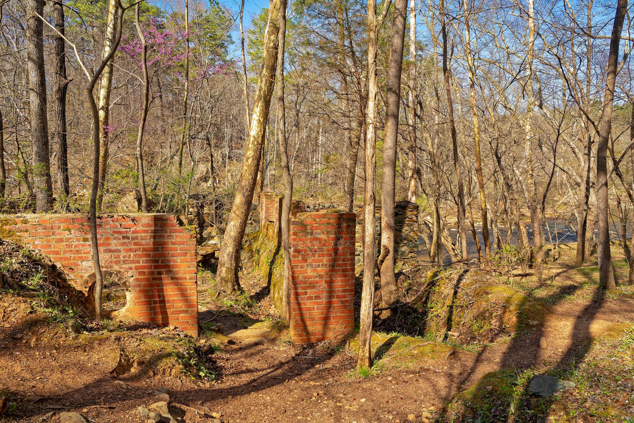 ZEISS Batis 25mm F2 sample photo. Enoriverparkpumpstationtraildurhamnc photography