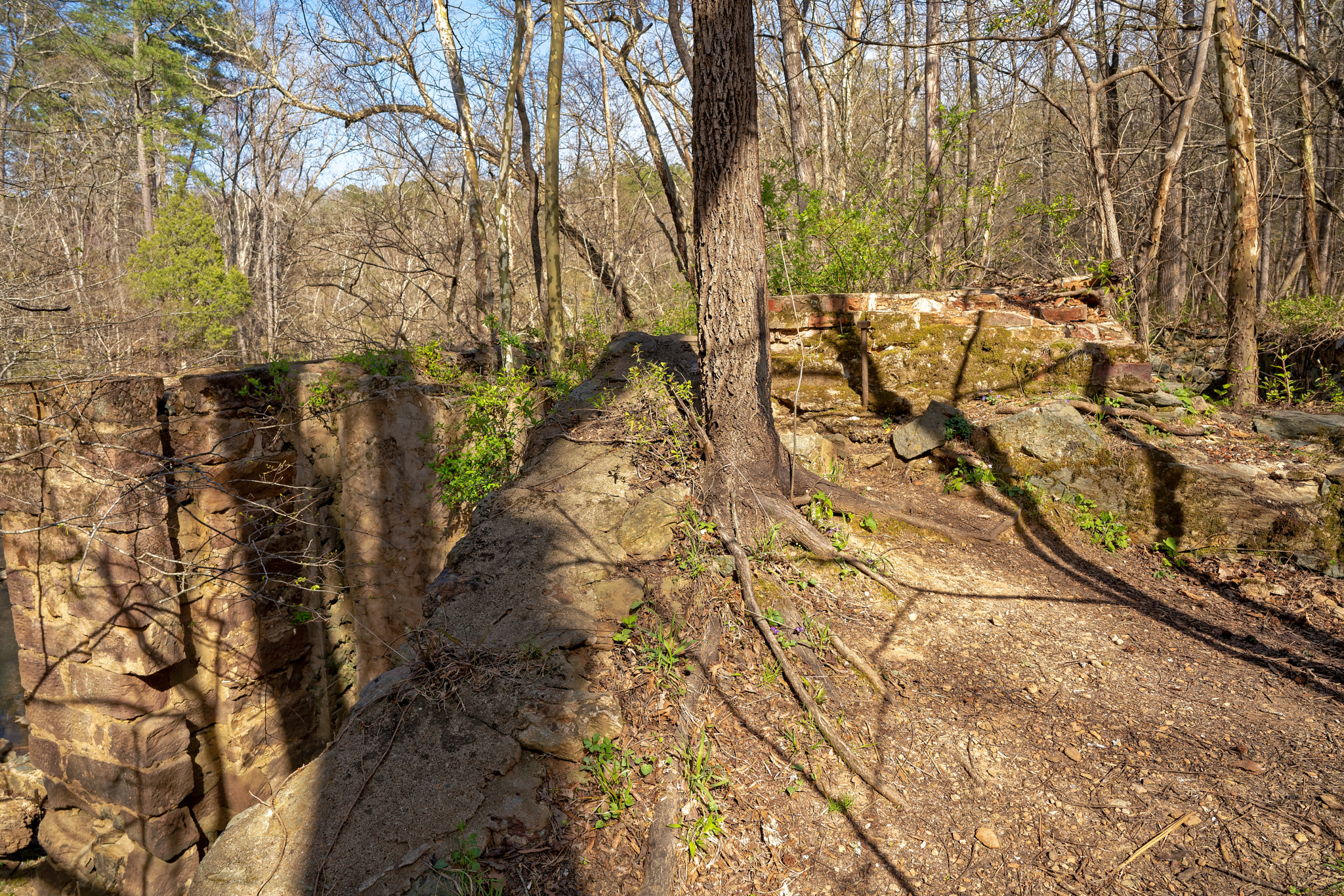 Sony a7R III + ZEISS Batis 25mm F2 sample photo. Enoriverparkpumpstationtraildurhamnc photography