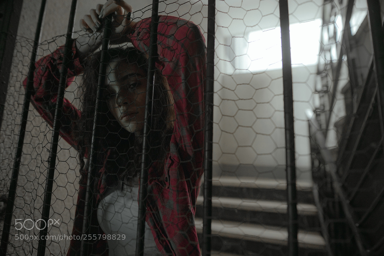 Sony a7R II sample photo. Senstive floor ! photography