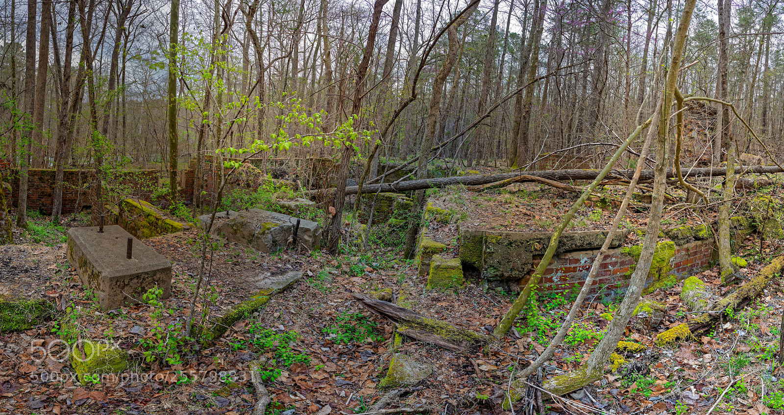 Sony a7R III sample photo. Enoriverparkpumpstationtraildurhamnc pano photography