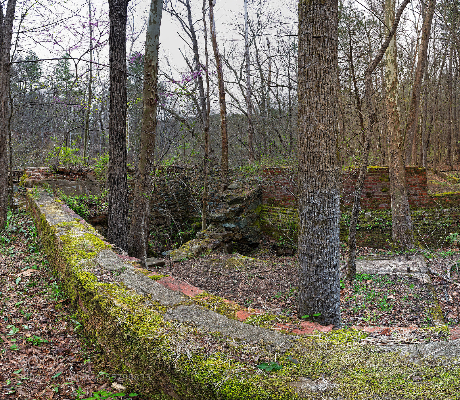 Sony a7R III sample photo. Enoriverparkpumpstationtraildurhamnc panoedit photography