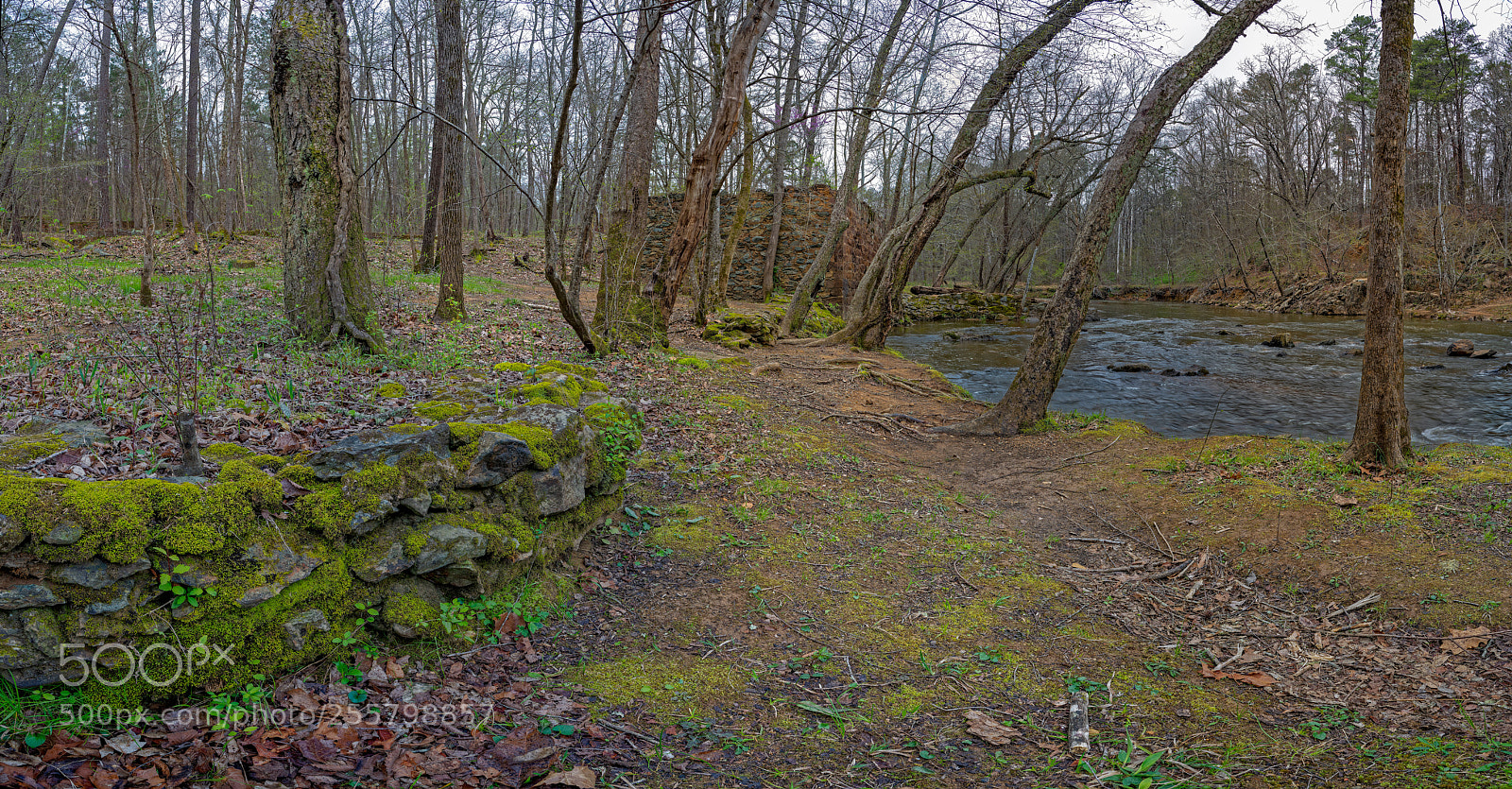 Sony a7R III sample photo. Enoriverparkpumpstationtraildurhamnx pano photography