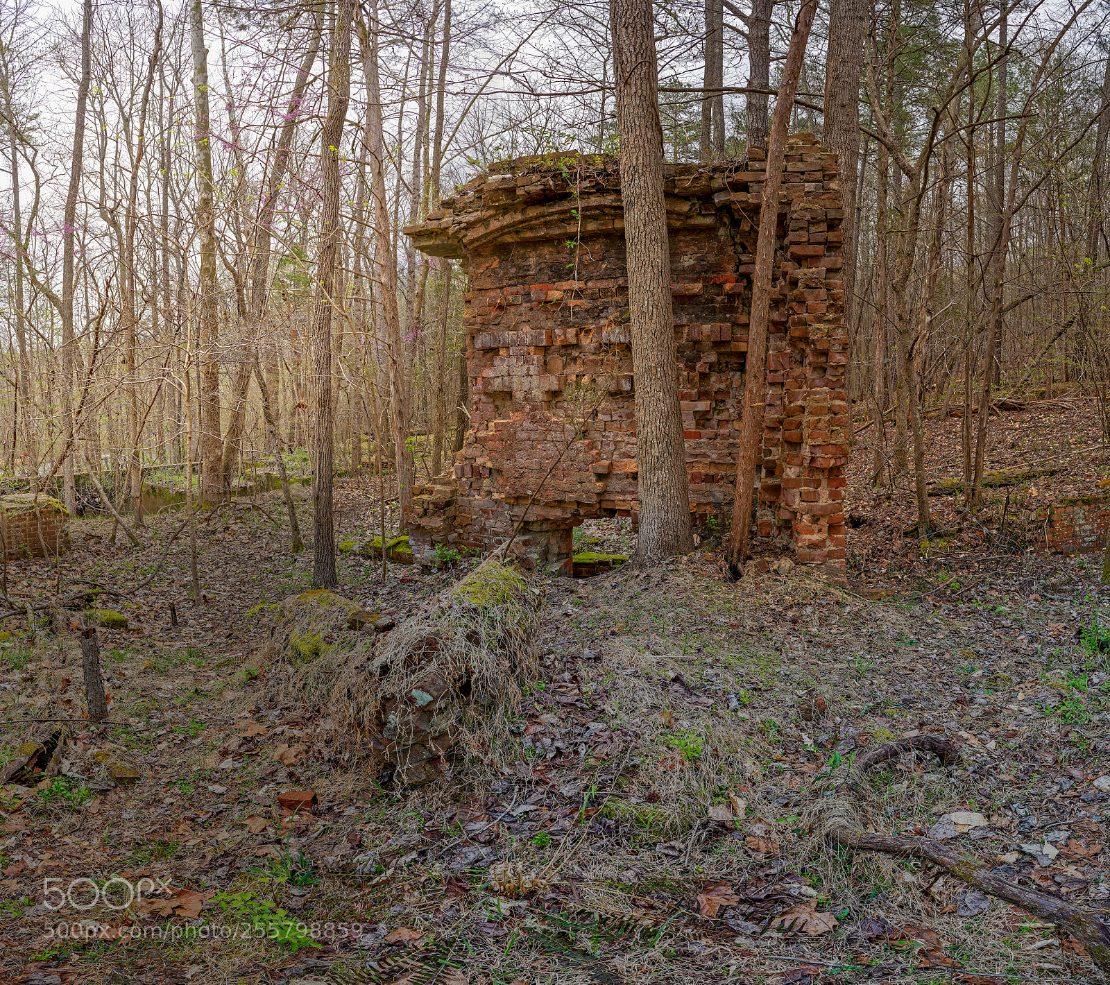 Sony a7R III sample photo. Enoriverparkpumpstationtraildurhamnc pano photography