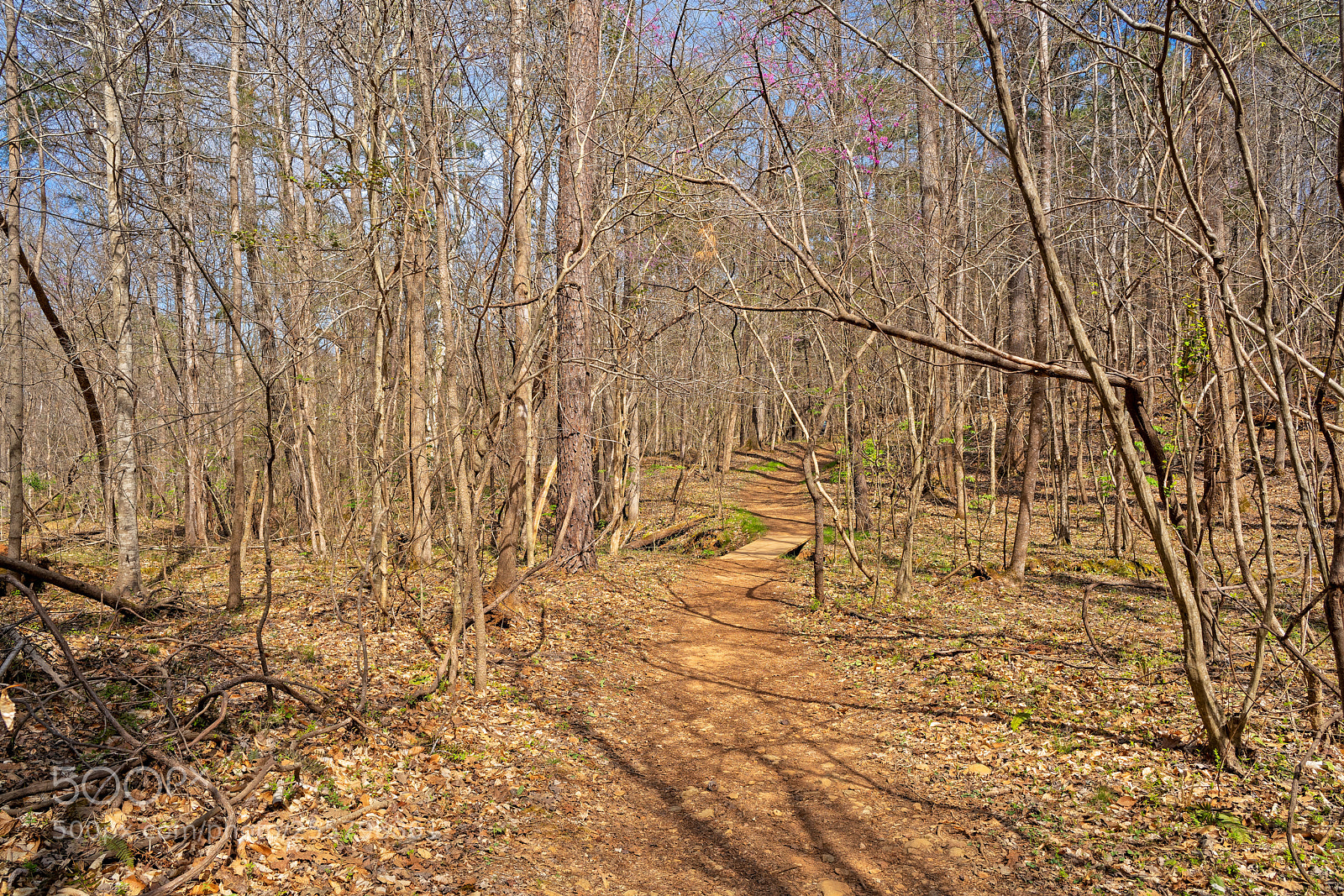 Sony a7R III sample photo. Enoriverparkpumpstationtraildurhamnc photography