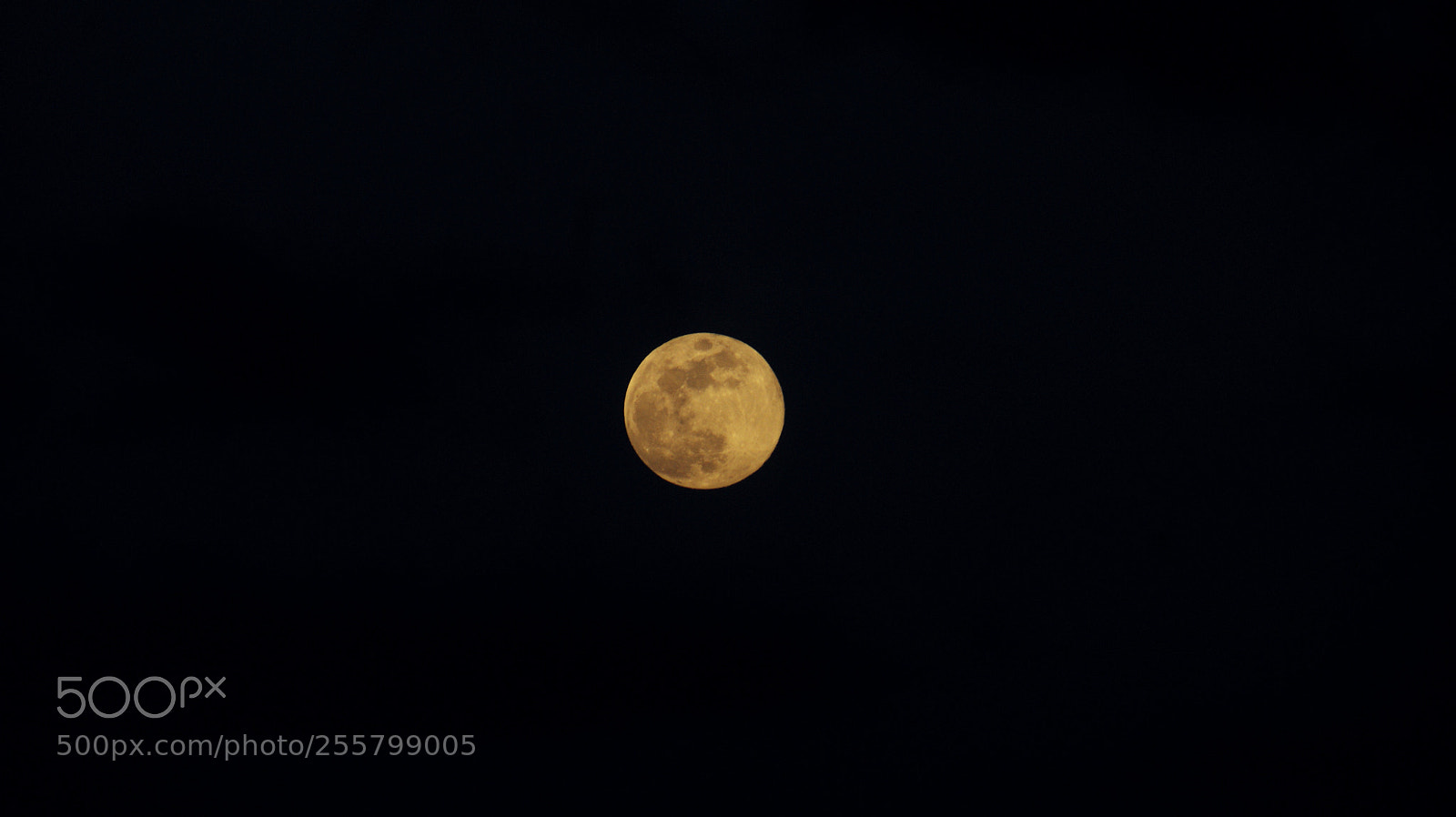 Sony Alpha DSLR-A390 sample photo. The moon photography