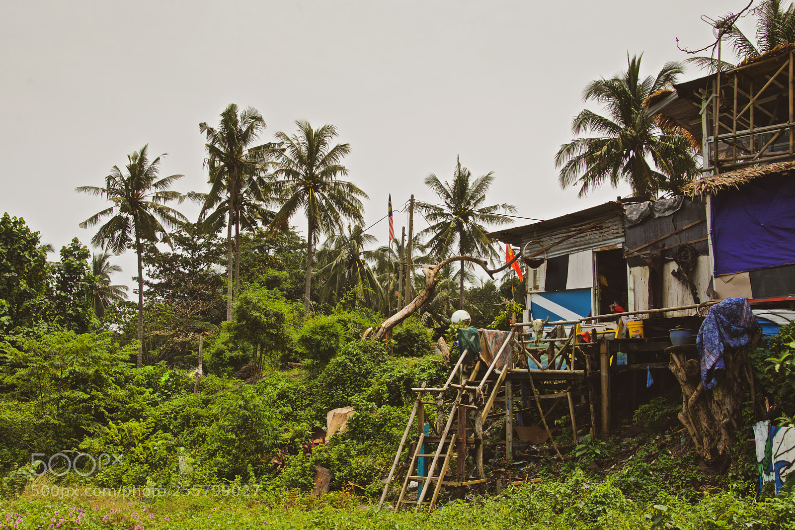 Nikon D7100 sample photo. Malaysians' house photography