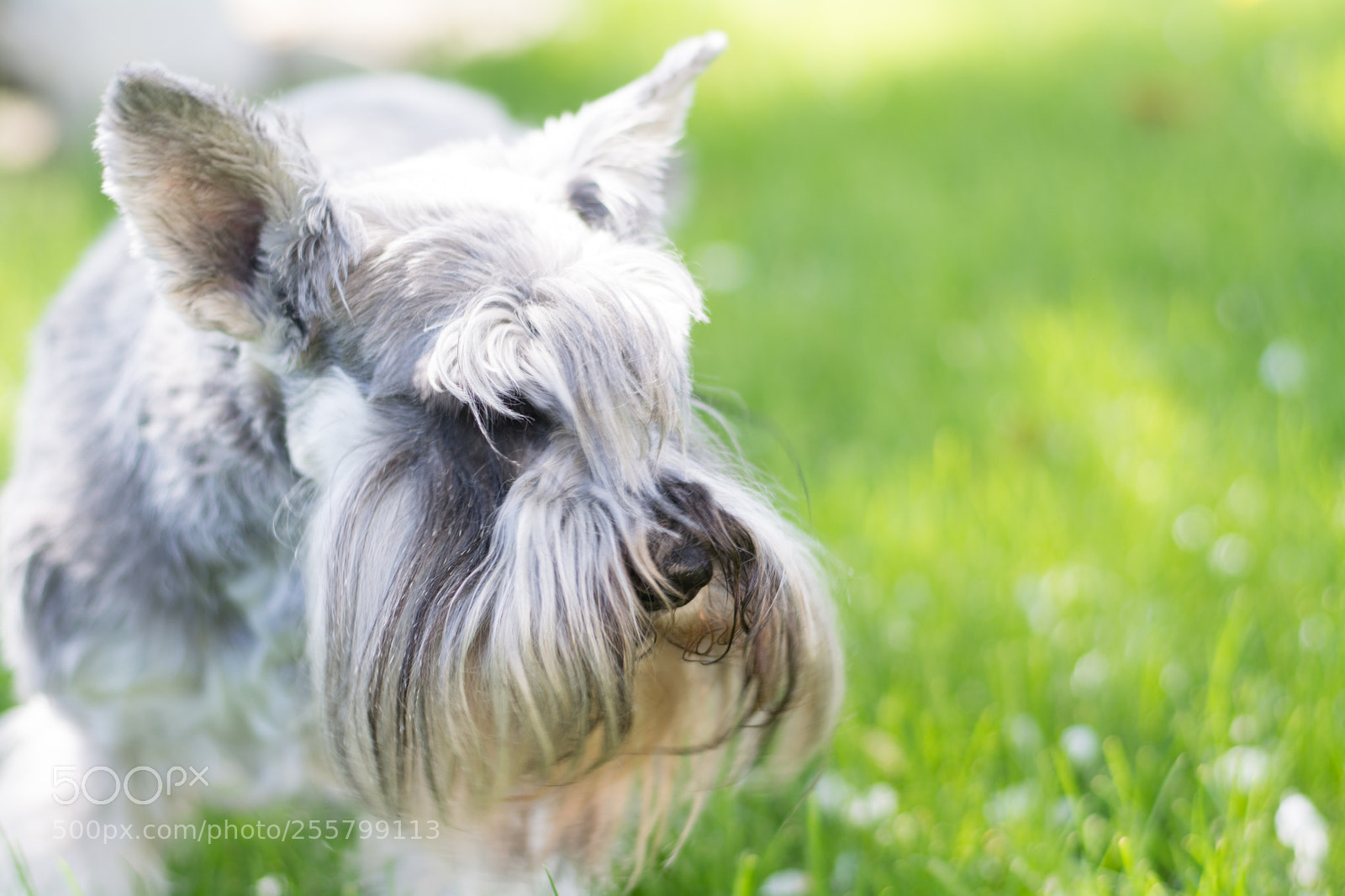 Nikon D5200 sample photo. Nulka photography