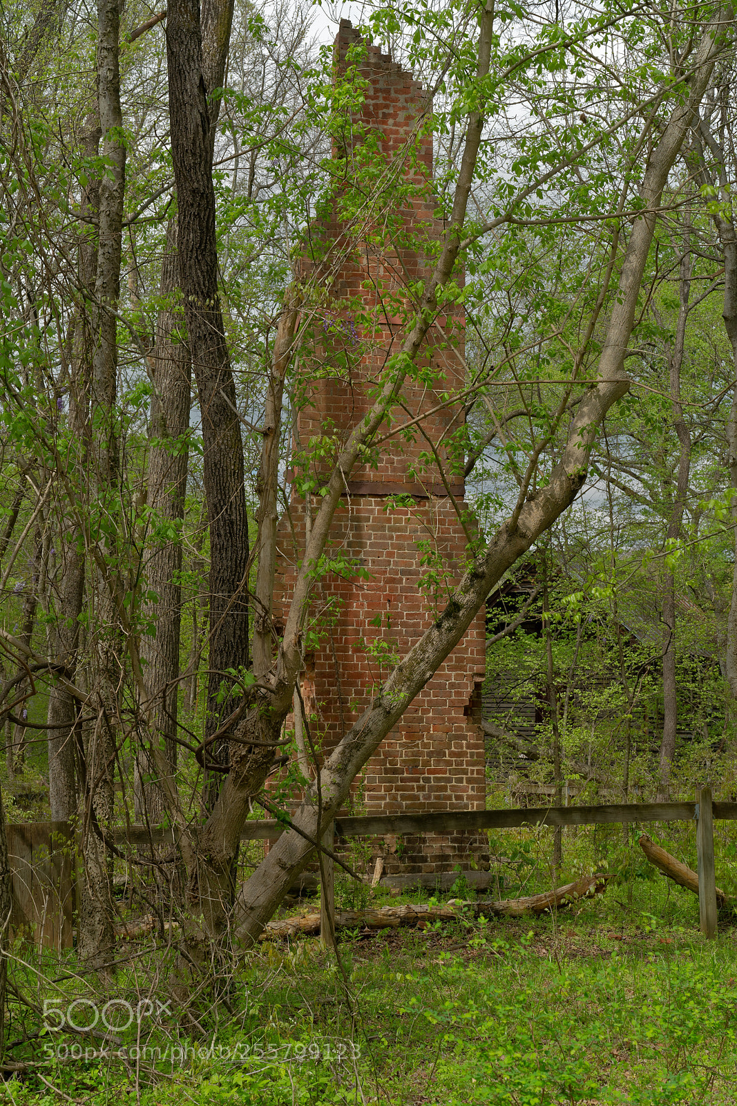 Sony a7R III sample photo. Enoriverparkwestpointonenodurhamnc dxo photography