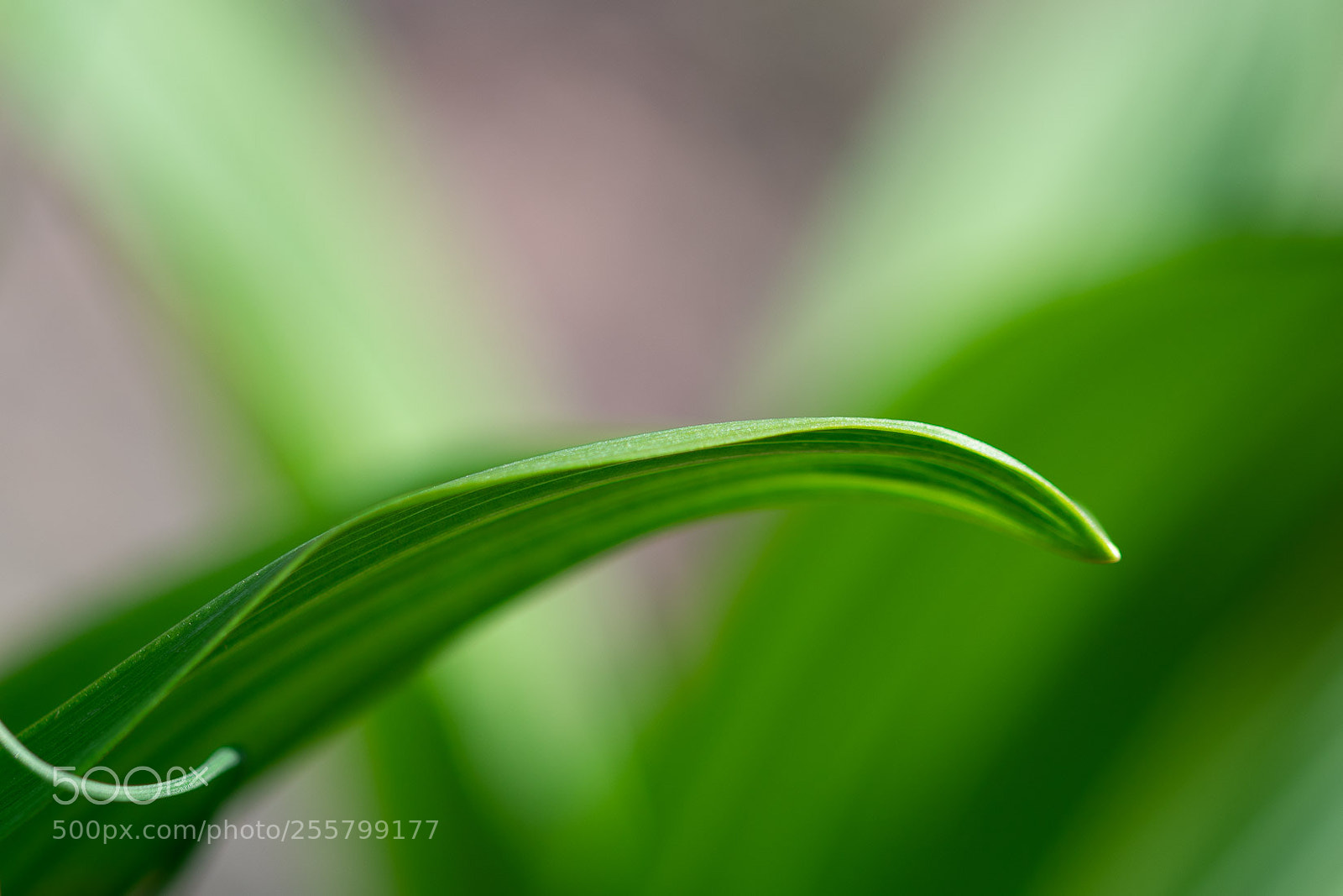 Nikon D500 sample photo. Formations of nature photography