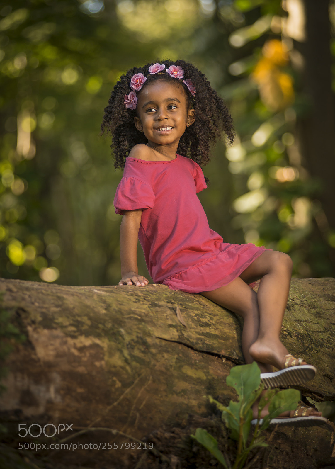 Nikon D610 sample photo. Untitled photography