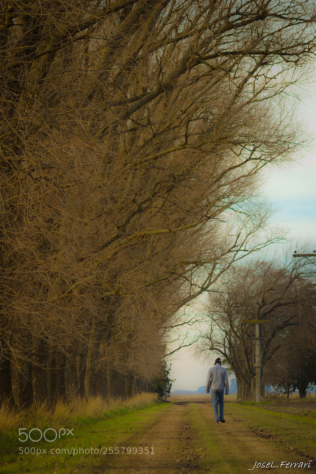Nikon D3100 sample photo. Untitled photography