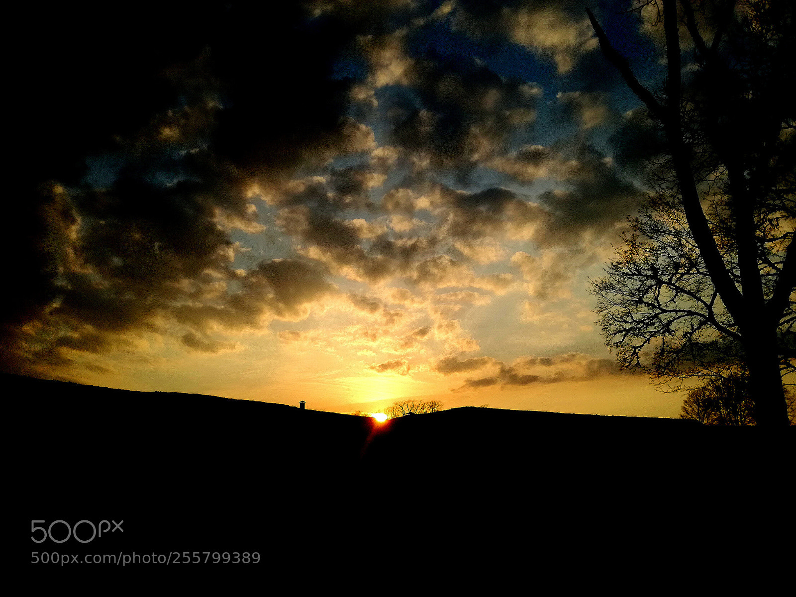HUAWEI P9 LITE sample photo. Untitled photography