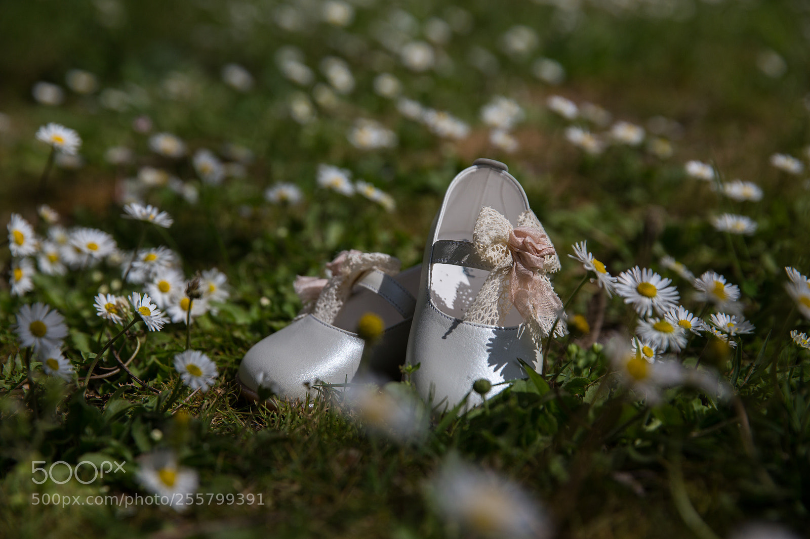 Canon EOS 6D sample photo. Img photography