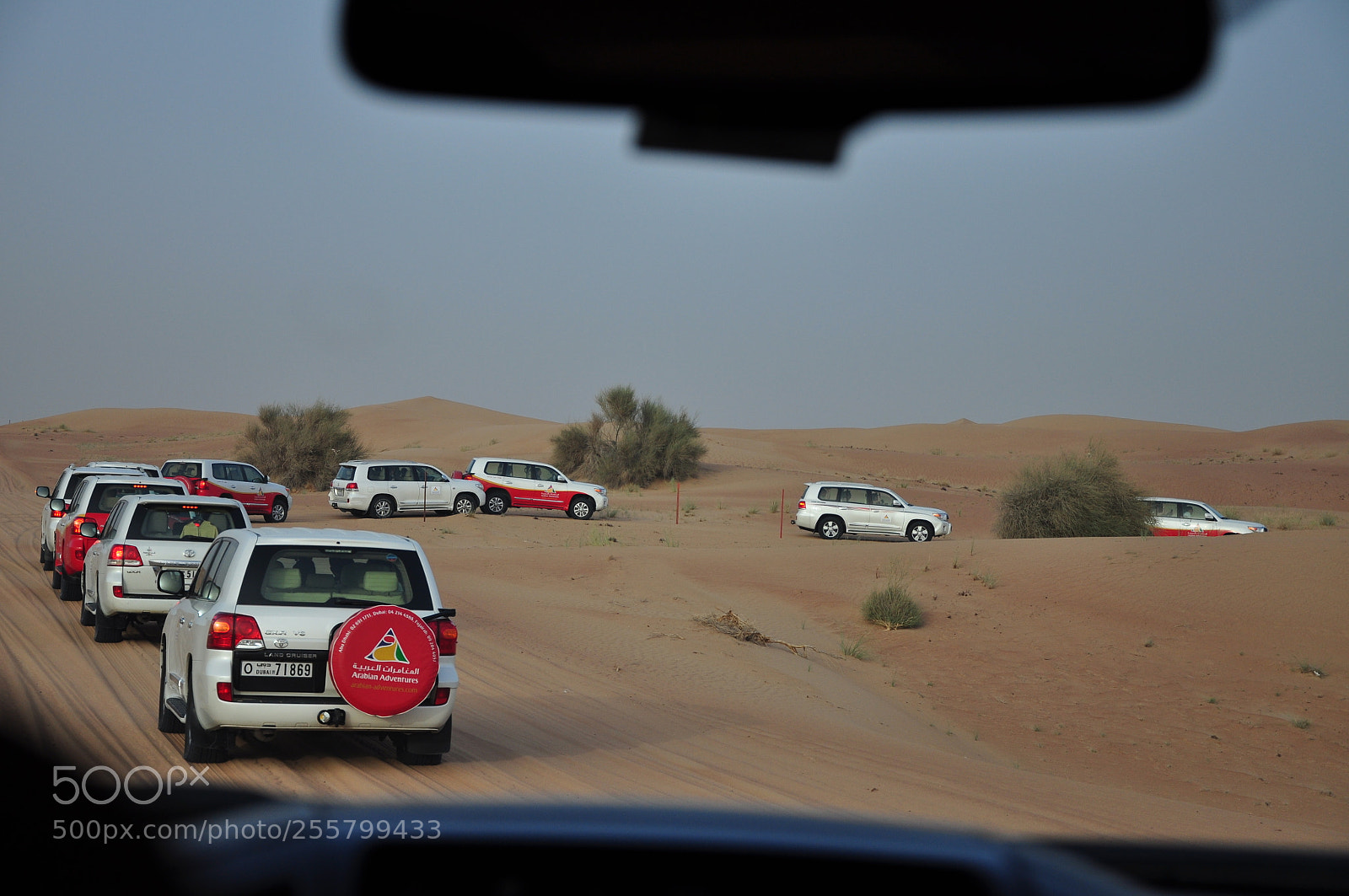 Nikon D90 sample photo. Desert safari photography