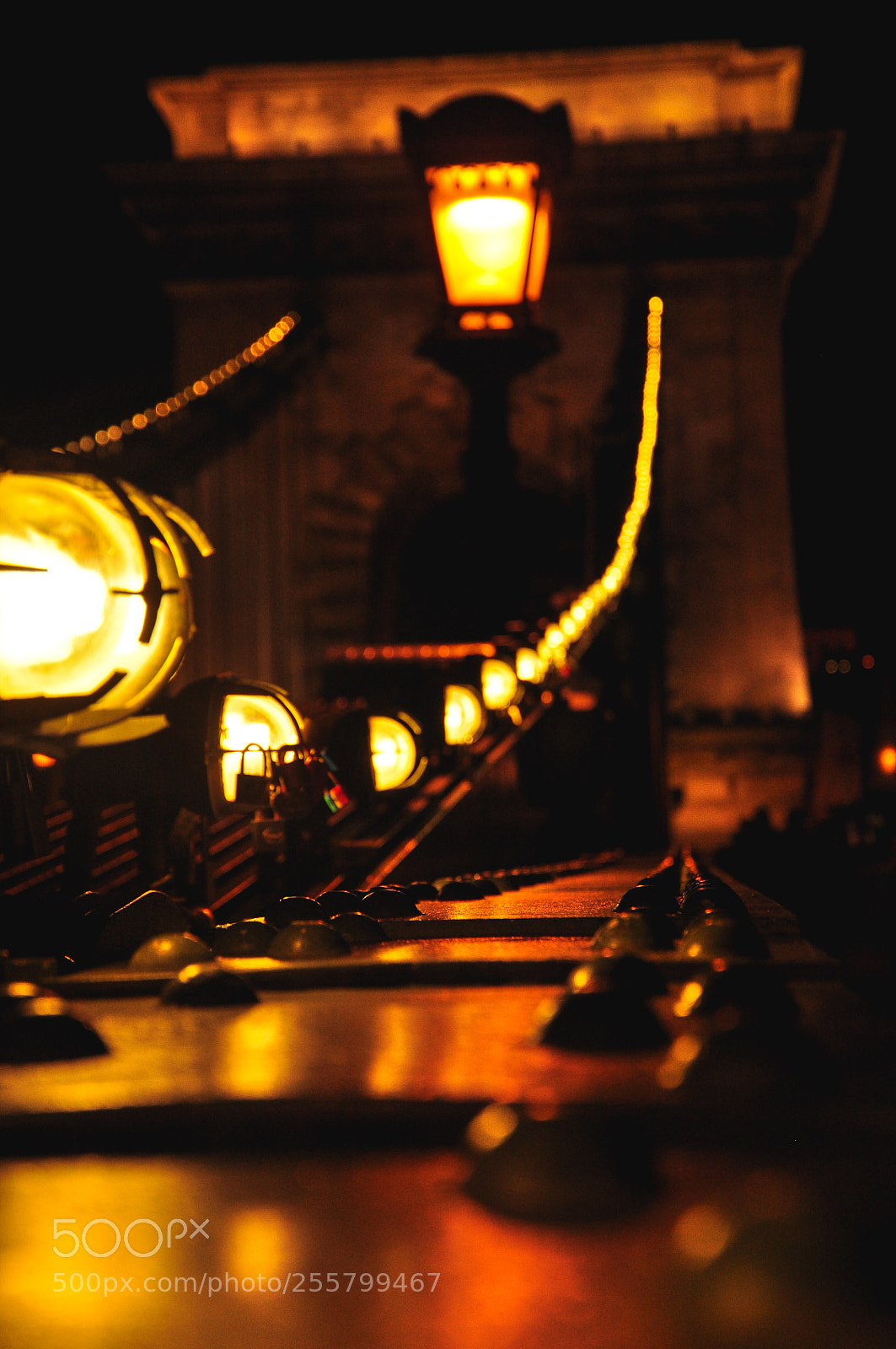 Nikon D90 sample photo. Follow the light photography